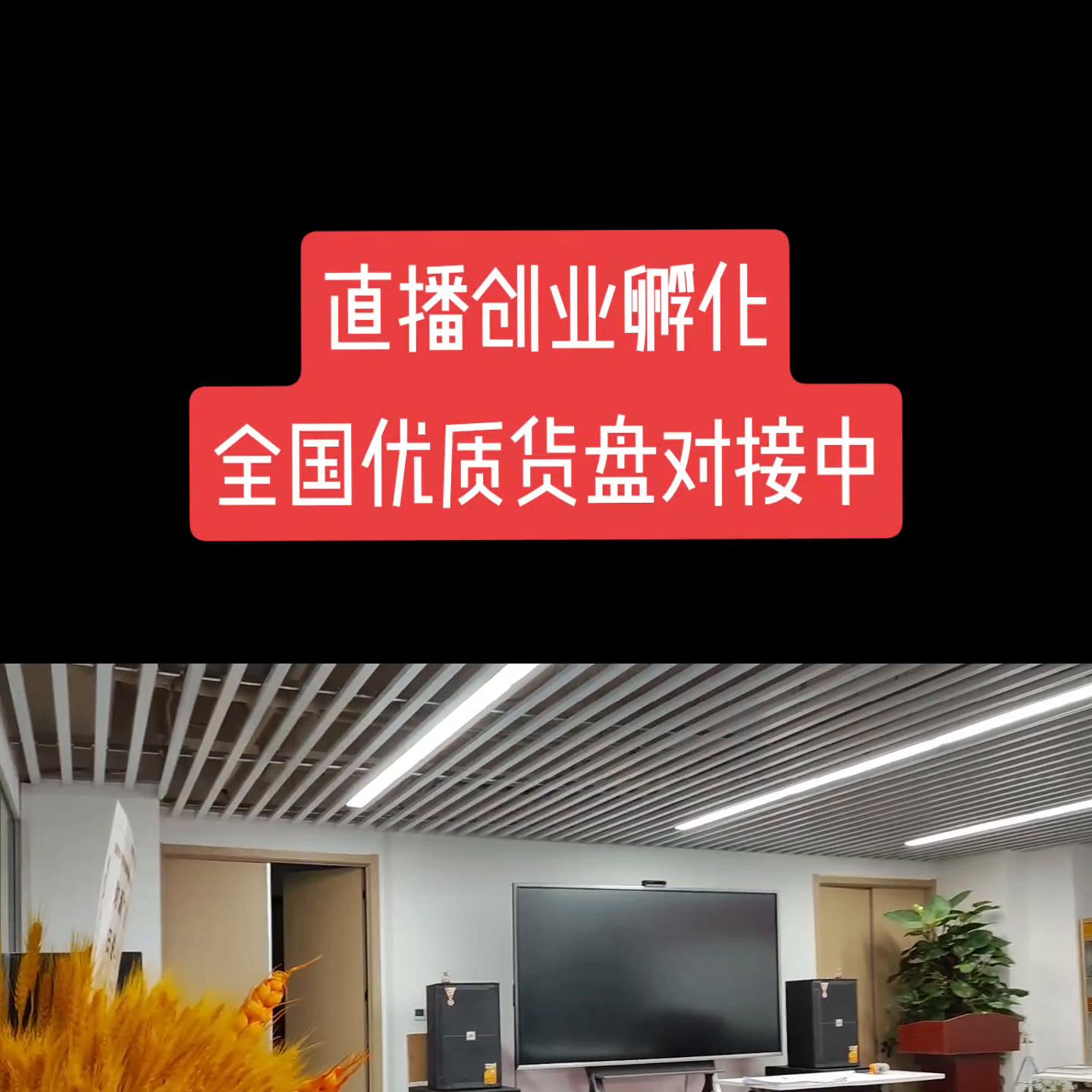 直播孵化基地招商,直播创业孵化基地