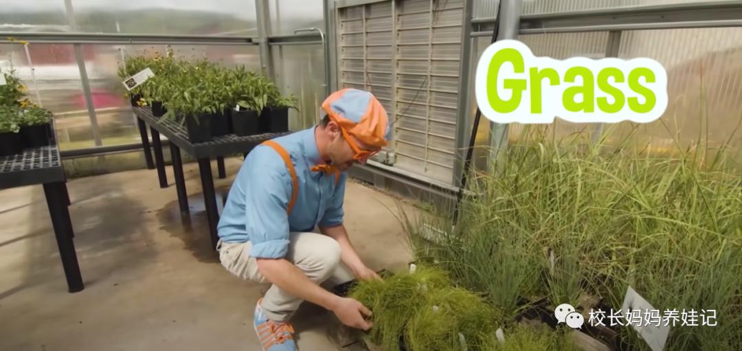 关于春天种植的英文儿歌,英文种植儿歌