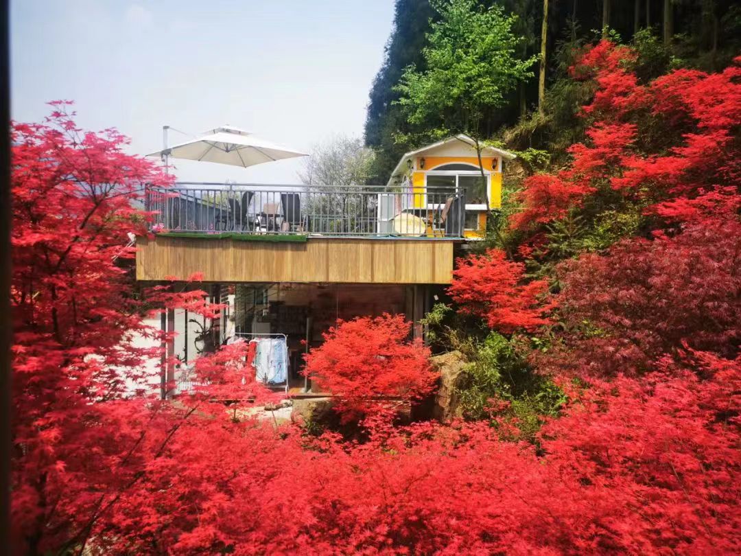 红枫岭有哪些景点,川西红枫岭旅游景点