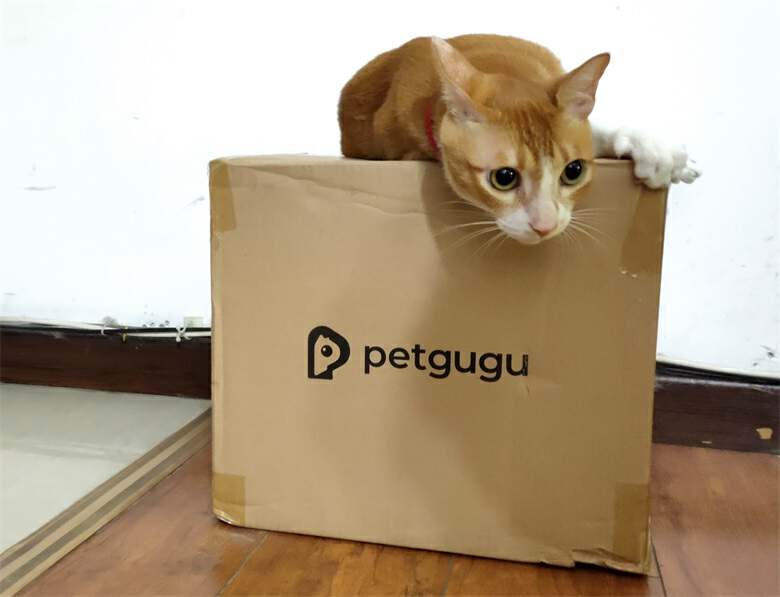 猫咪自动喂水喂食一体器智能测评,宠物猫咪智能喂水器