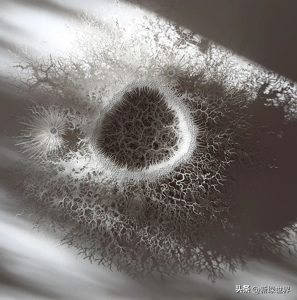 纸艺作品绘画,千变万化的纸艺术作品