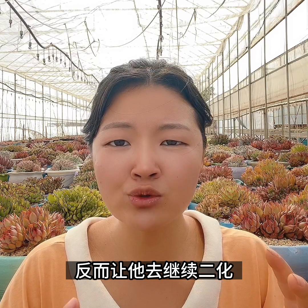 多肉植物叶子化水怎么办,多肉植物化水是什么原因