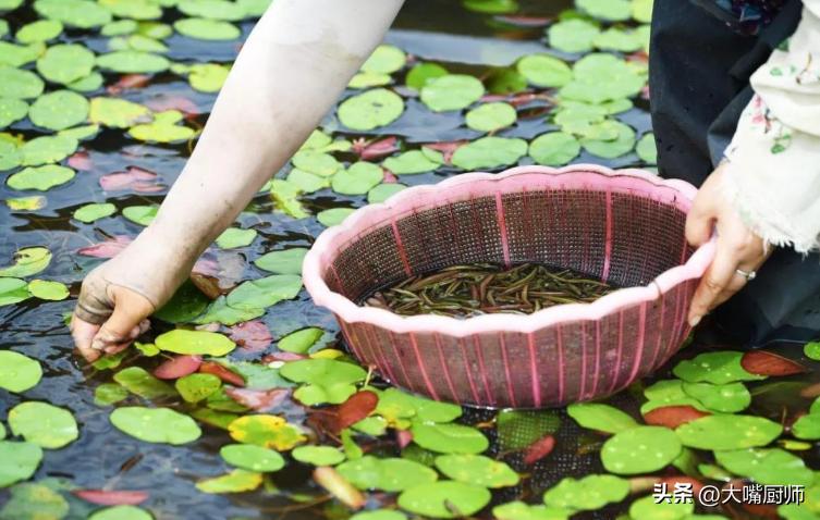 日本人最喜欢的长寿食物,日本人每天都吃的高钙长寿菜