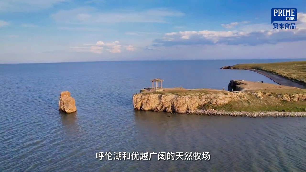 西旗草原羊肉,内蒙古正宗西旗羊肉