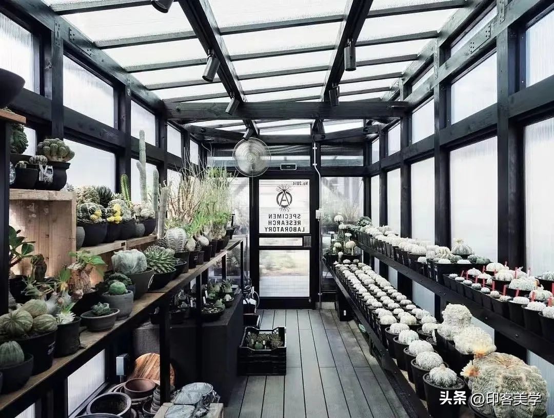 年轻人为“丑东西”买单，是智商税吗？