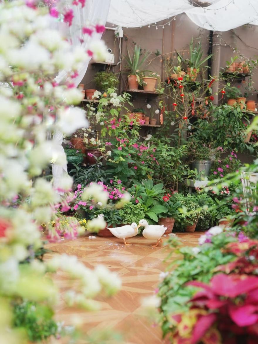 很多人羡慕的阳台,让别人羡慕的阳台