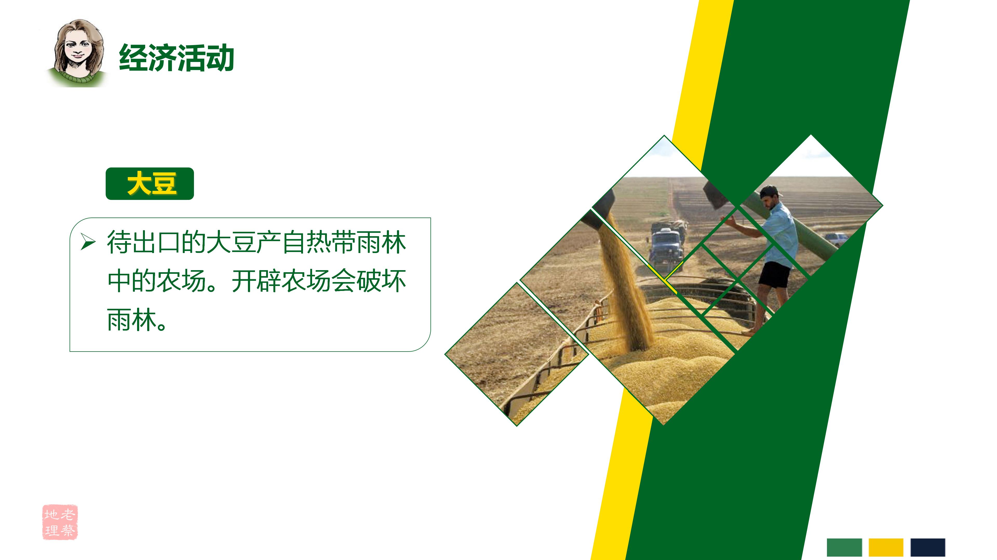 七年级下册地理第九章第二节巴西,七年级下册地理巴西2