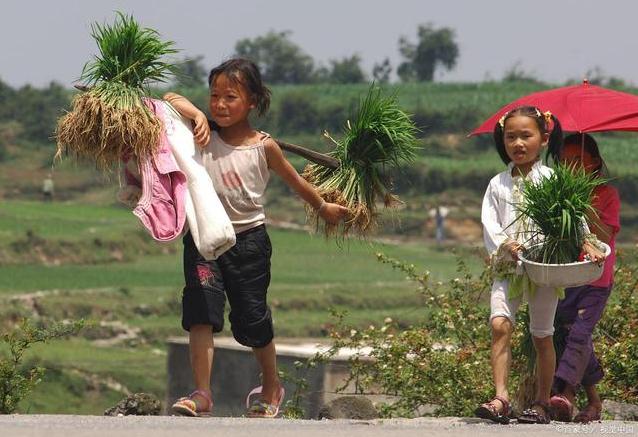 专家：子女也是消费品，不生孩子是不对的！有道理吗？