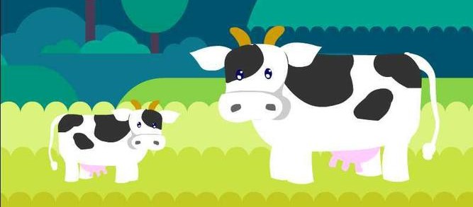 奶牛天天产奶背后的真相,奶牛怎么不停产奶