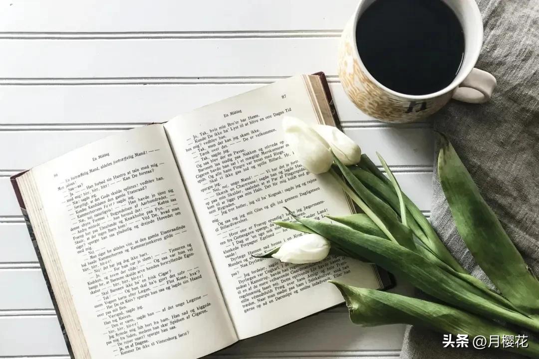 读书日文案有趣朋友圈,适合读书日的朋友圈文案