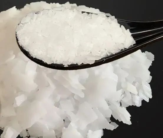 与猫共处的日子,如何给猫屋消毒