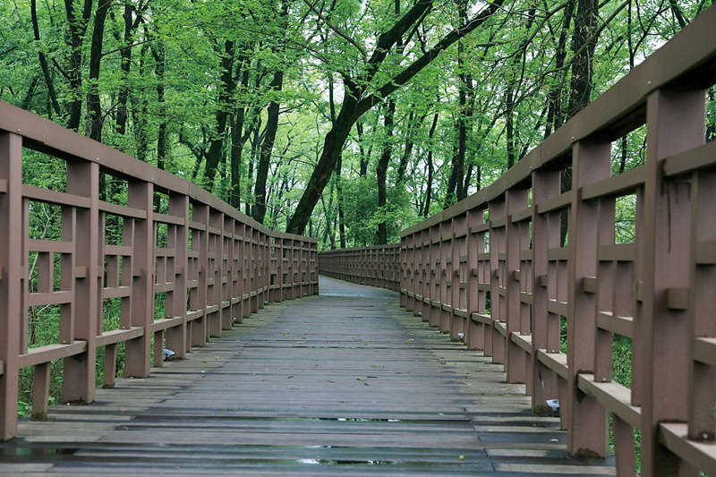 衢州莲花乡村未来国际社区,衢州莲花现代农业园