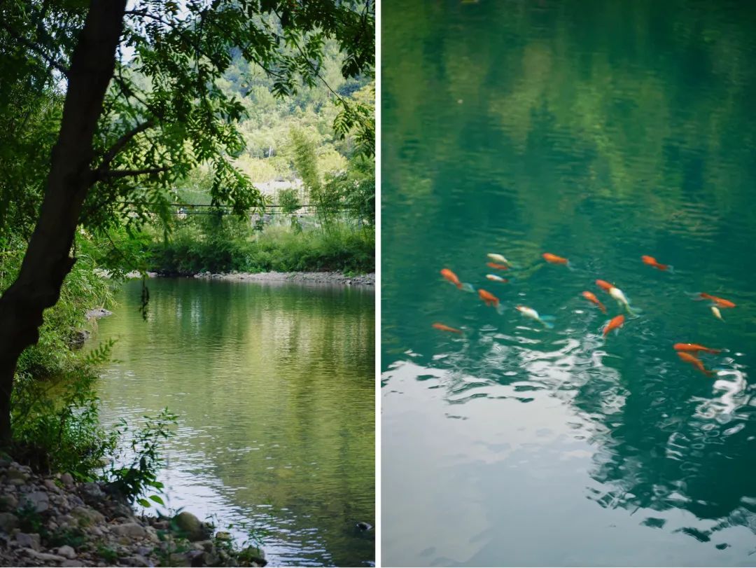 夏天凉快风景好又有水的旅游景点,夏天旅游景点哪里最好玩