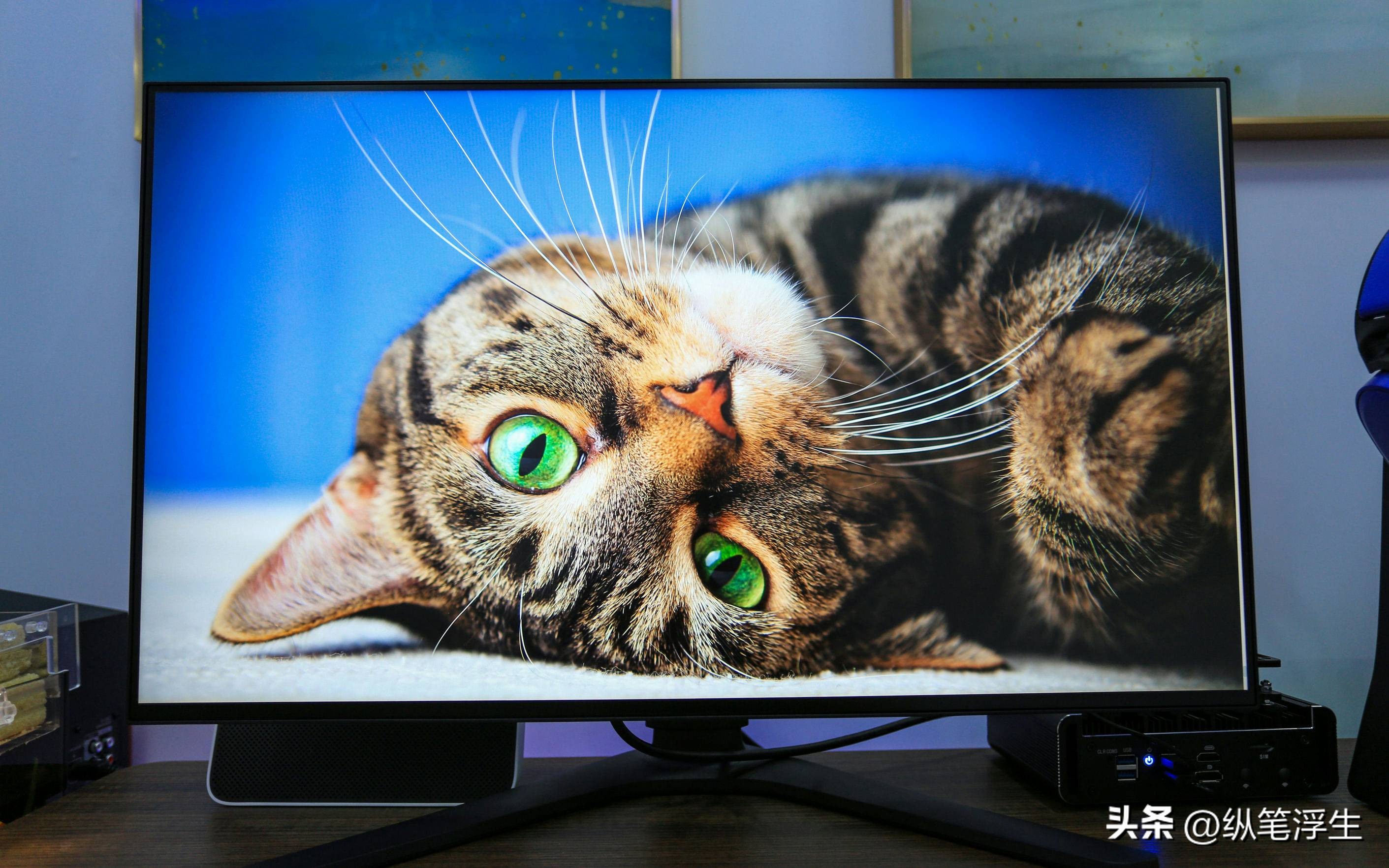 小厂4k144hz32寸显示器测评,蚂蚁电竞2k144hz显示器值得买么