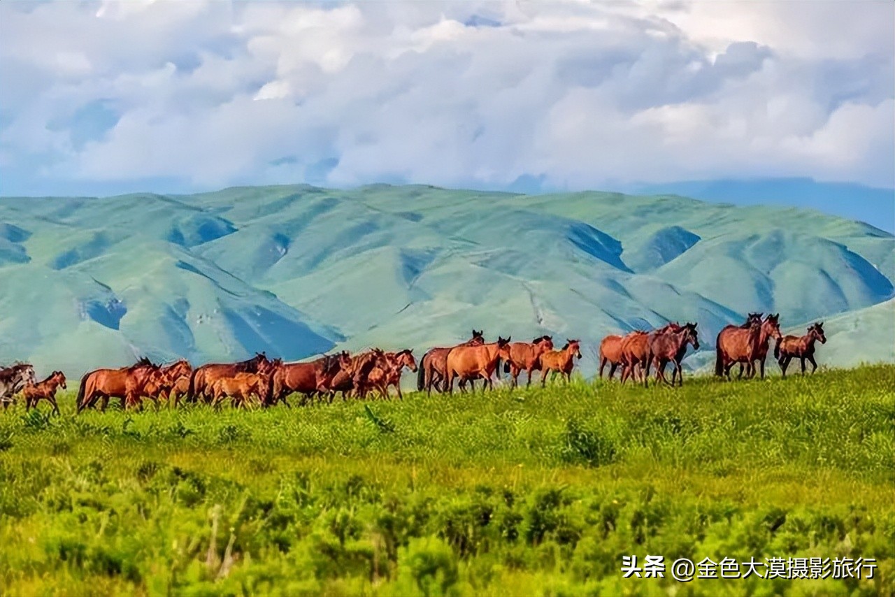 新疆的北疆南疆伊犁哪个最好玩,新疆的伊犁旅游区