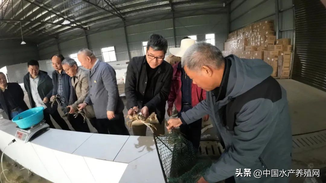 阳澄湖大闸蟹路线图,去阳澄湖大闸蟹攻略路线