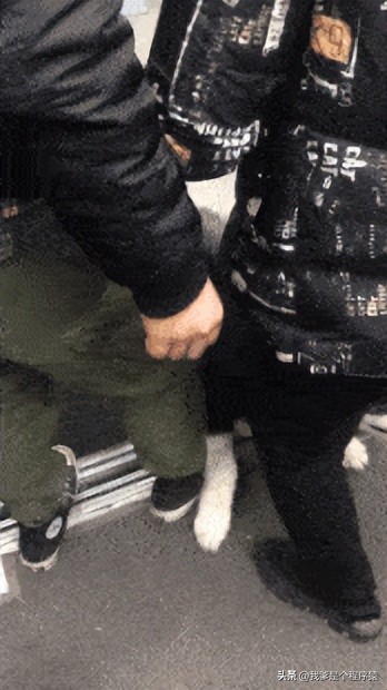 优选顺口溜,优选段子大全搞笑