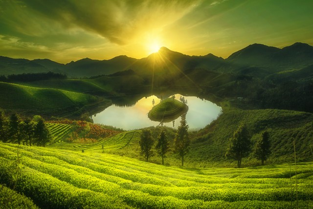 一年级健康睡眠作息时间表,最健康作息时间表图片壁纸