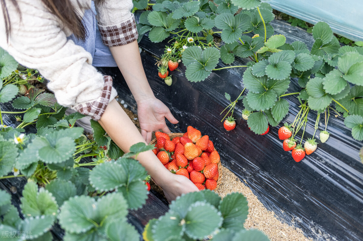 小县城10万小本生意创业项目,小县城投资10万加盟项目