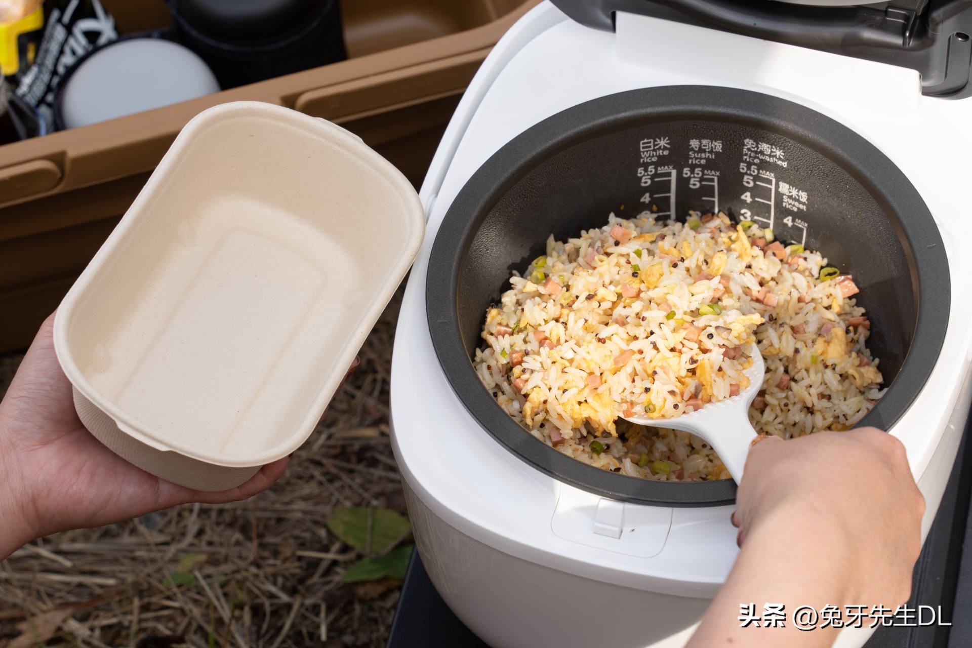 东芝电饭煲rc-10,东芝RC-10LTC电饭煲