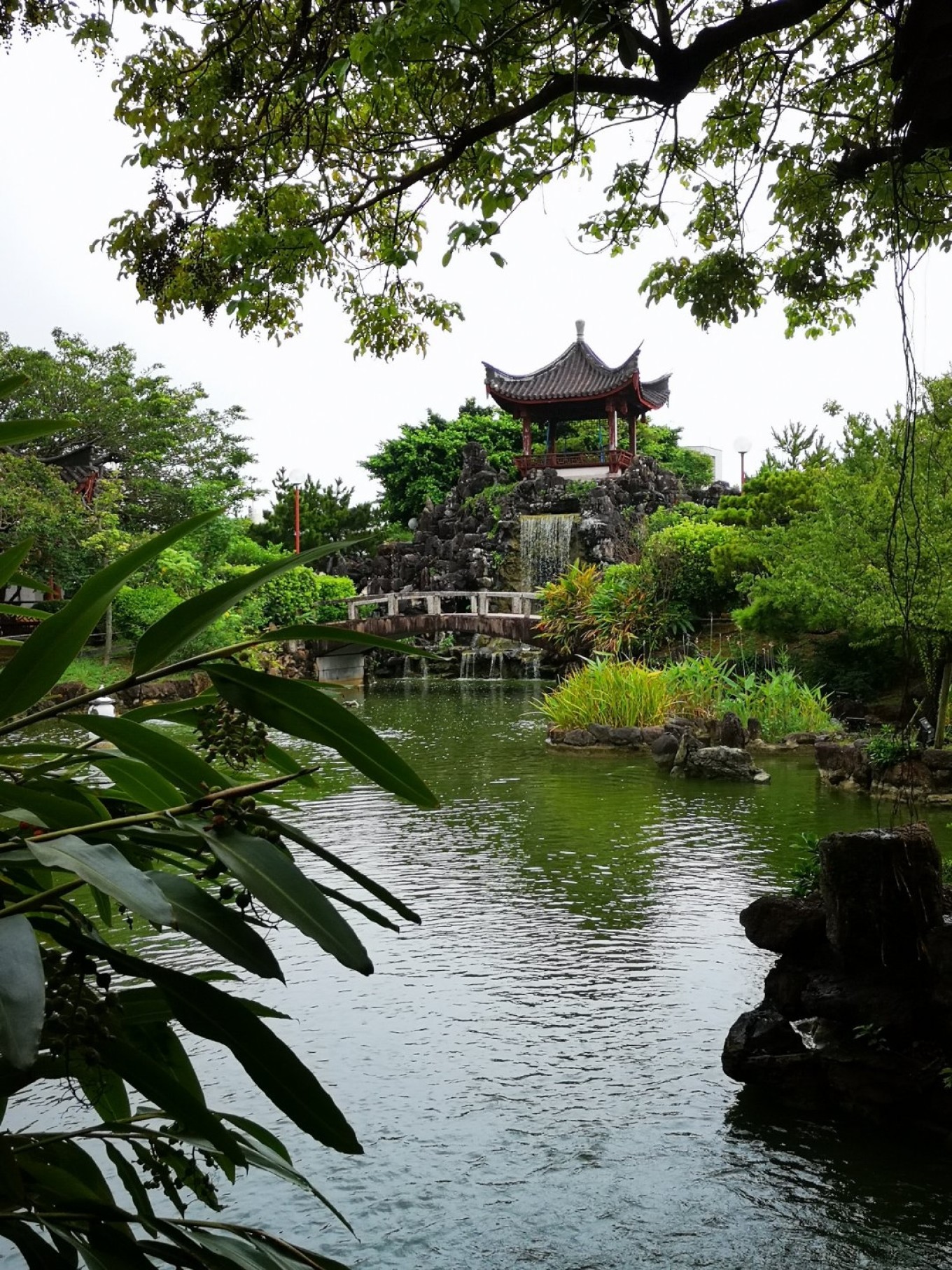 暑期档2019年,2019年暑期档