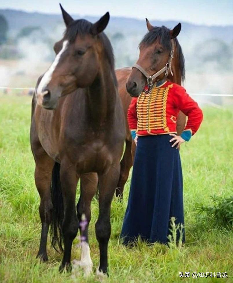 20张你必须要看的古怪老照片,20张照片看哭了你有勇气看完吗