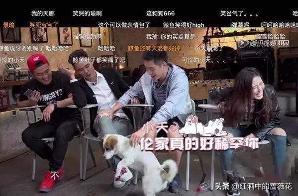 明星参加综艺尴尬场面，看过阮经天，才知道张小斐被说打呼不算啥