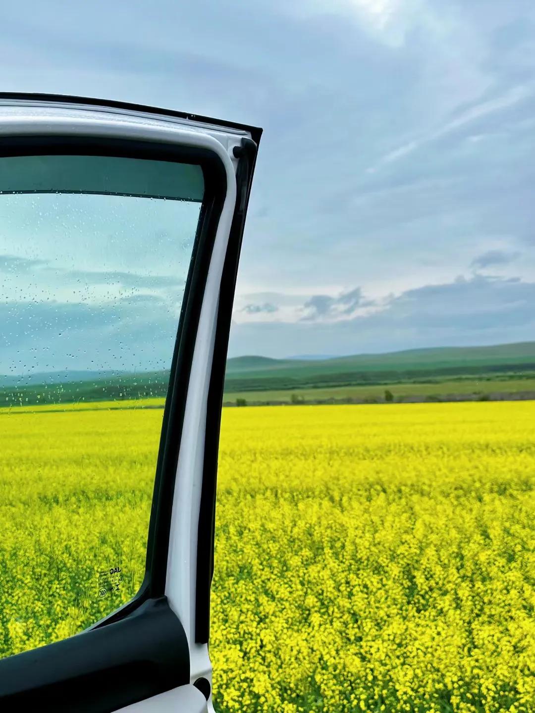 呼伦贝尔旅游攻略自驾游线路推荐,天津到呼伦贝尔自驾游攻略路线