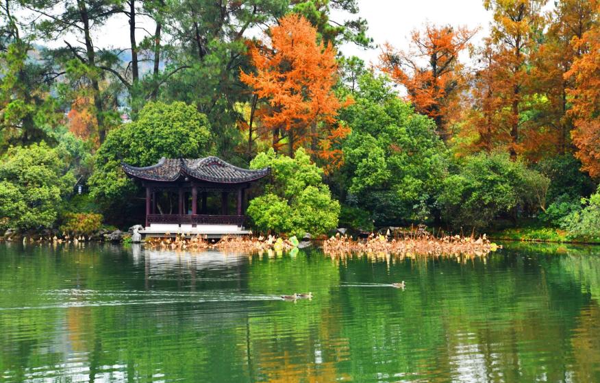 描写西湖秋天的古诗,西湖的秋天最美