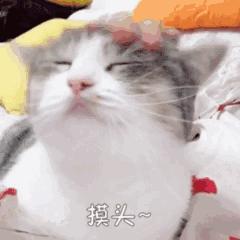 品牌文案延伸怎么写吸引人,打造个人品牌的文案怎么写好呢