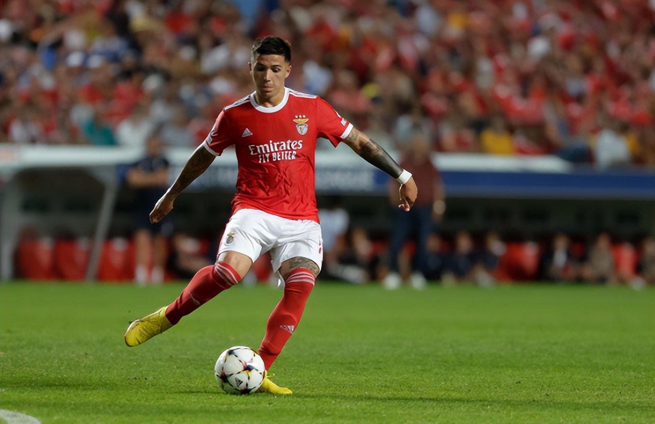 世界杯夺冠后阿根廷球员庆祝,世界杯阿根廷夺冠后全过程