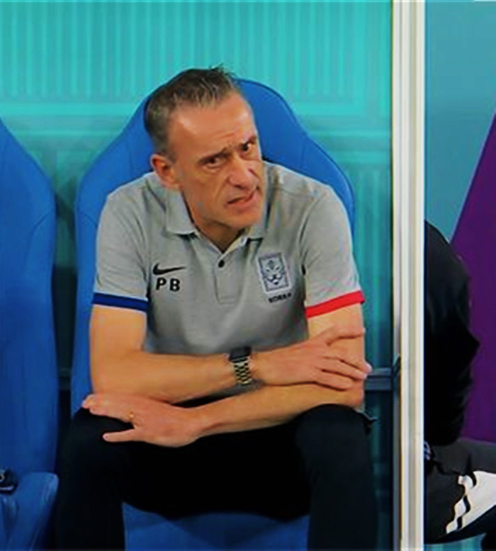 告诉你何为桑巴——玮观世界杯之七