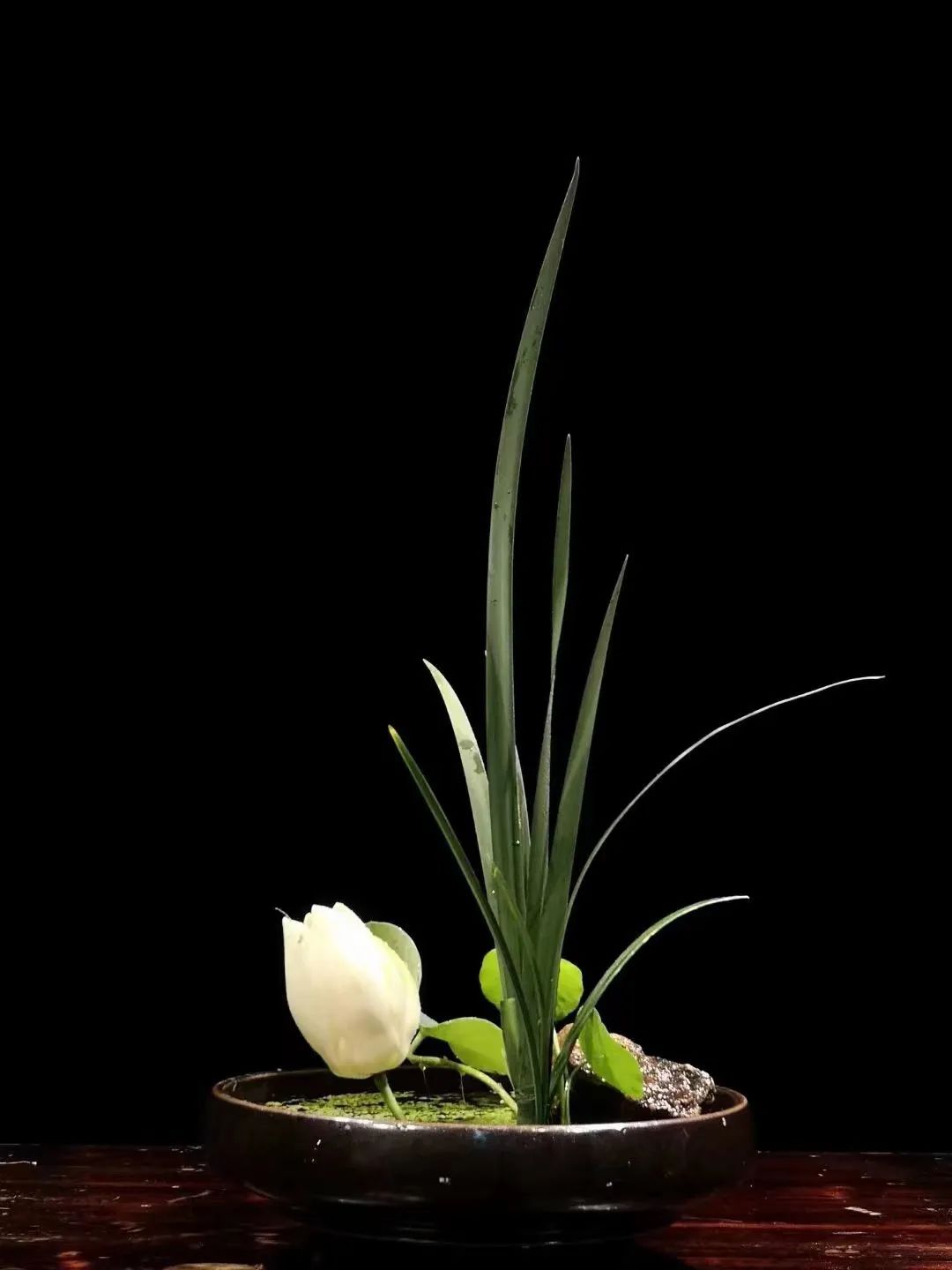 日本顶级禅意插花荷花,日式荷花插花