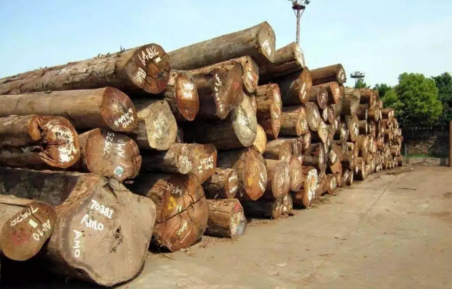 100块和1000块铁观音的区别,100元和10元的烟有什么区别