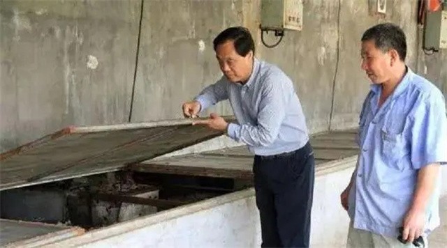 山东济南养殖蟑螂的李延荣,李延荣山东蟑螂处理垃圾第一人