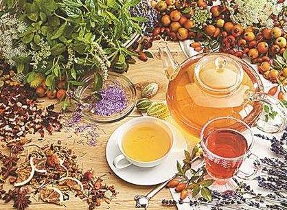 中国茶在国内传播的时间路径图,中国茶是如何传到日本