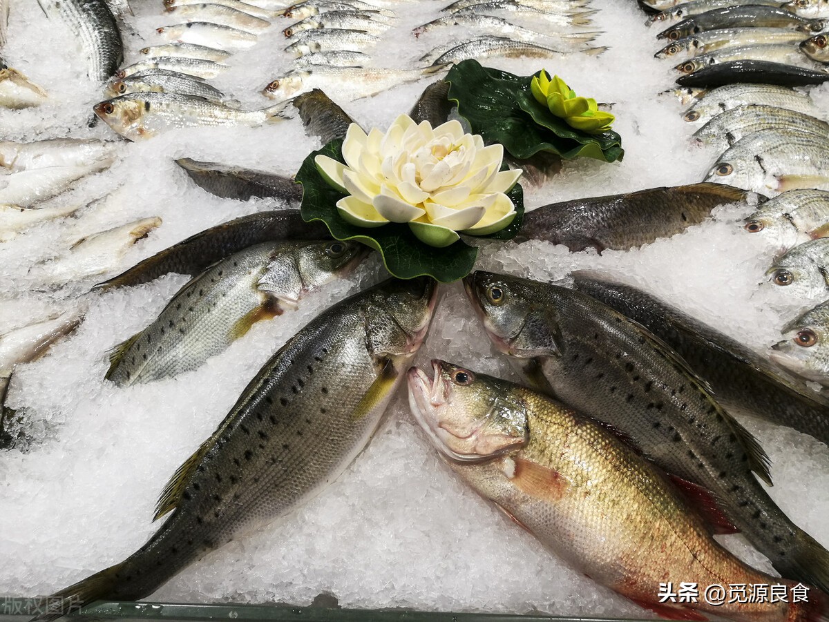 买鲈鱼怎么选,买鲈鱼开背的好还是整条的好