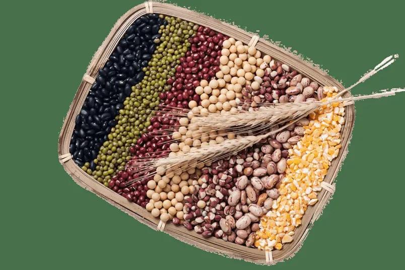 头发干枯脱发正常吗女,头发干枯脱发小妙招