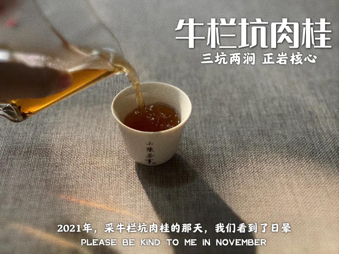茶馆里的茶有哪些,茶圈公认比较好喝的茶有哪些