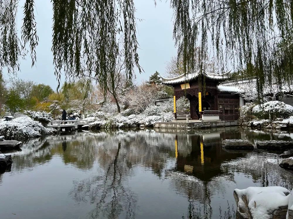 谁是影像机皇,谁才是手机机皇