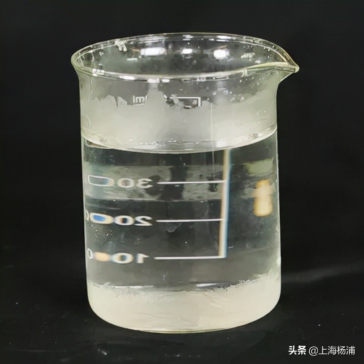 动手做一枚“叶脉书签”吧，好看又实用！【春节宅家手工】