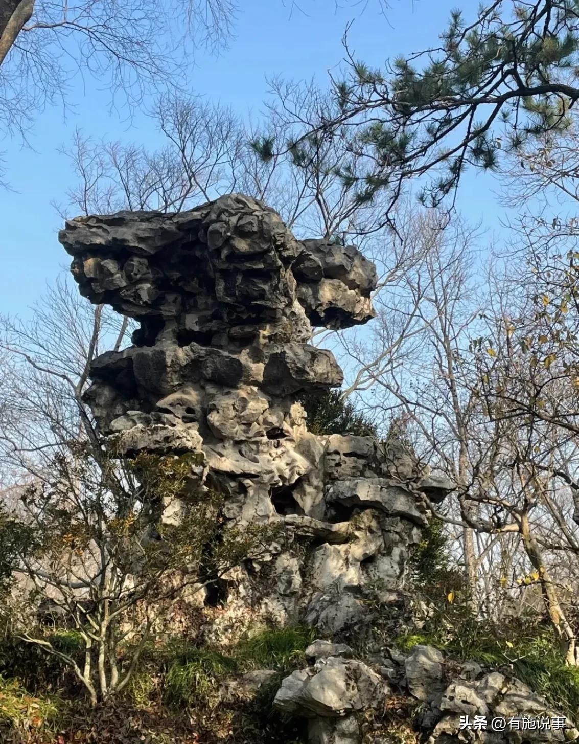 享乐游苏州之【拙政园】