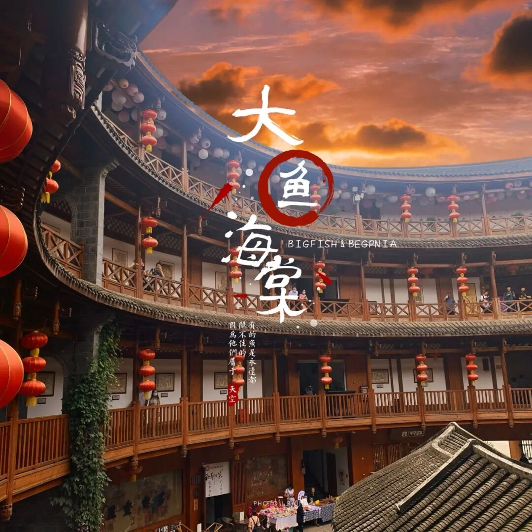 金鸡菊花海旅游攻略,金鸡菊花海美景