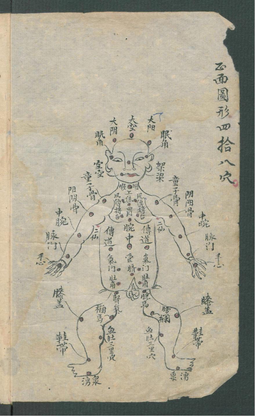 华佗仙师秘传01,华佗仙师秘传全集