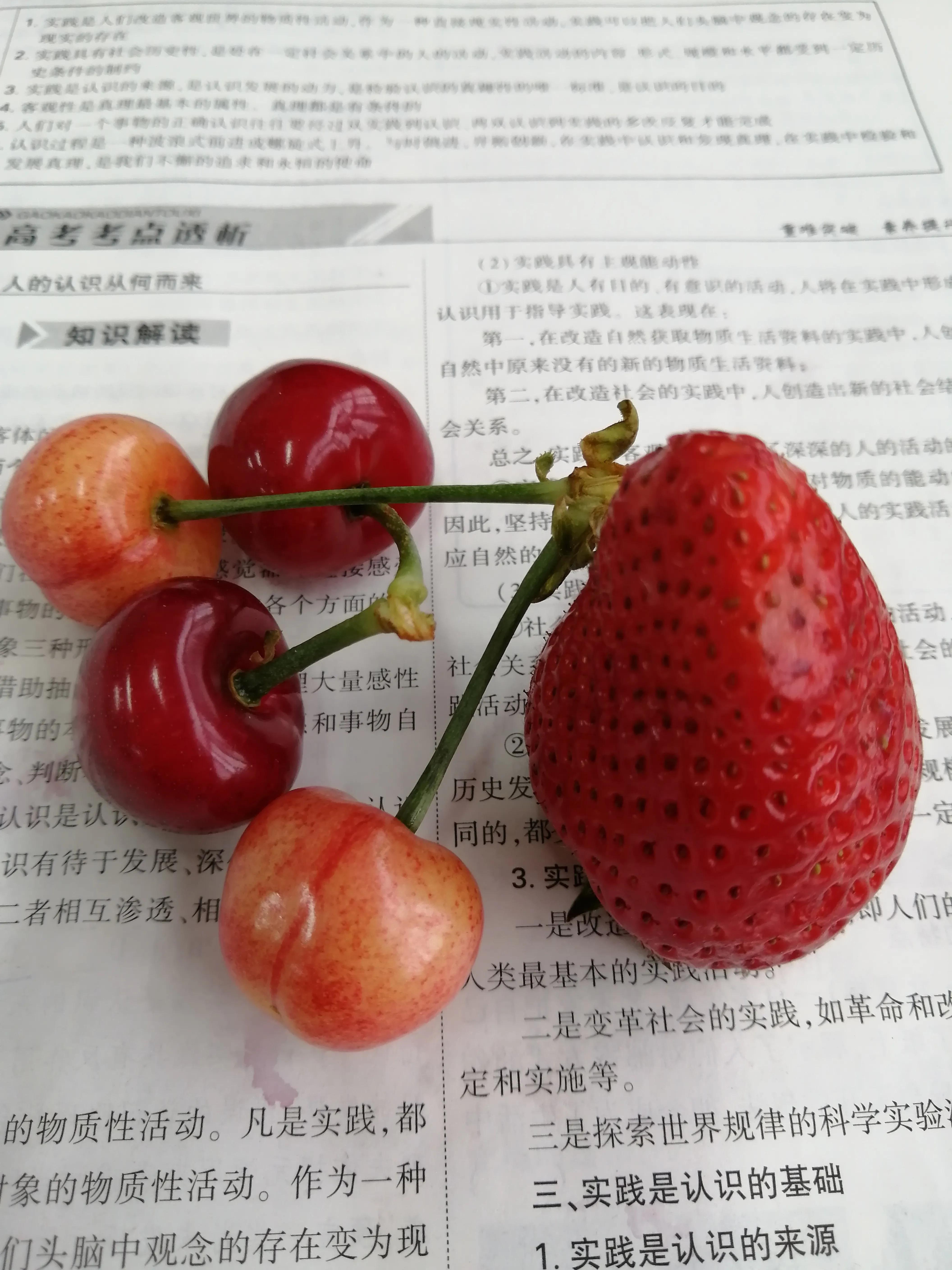 赞美春天桃花的诗词,春天桃花诗词集锦大全