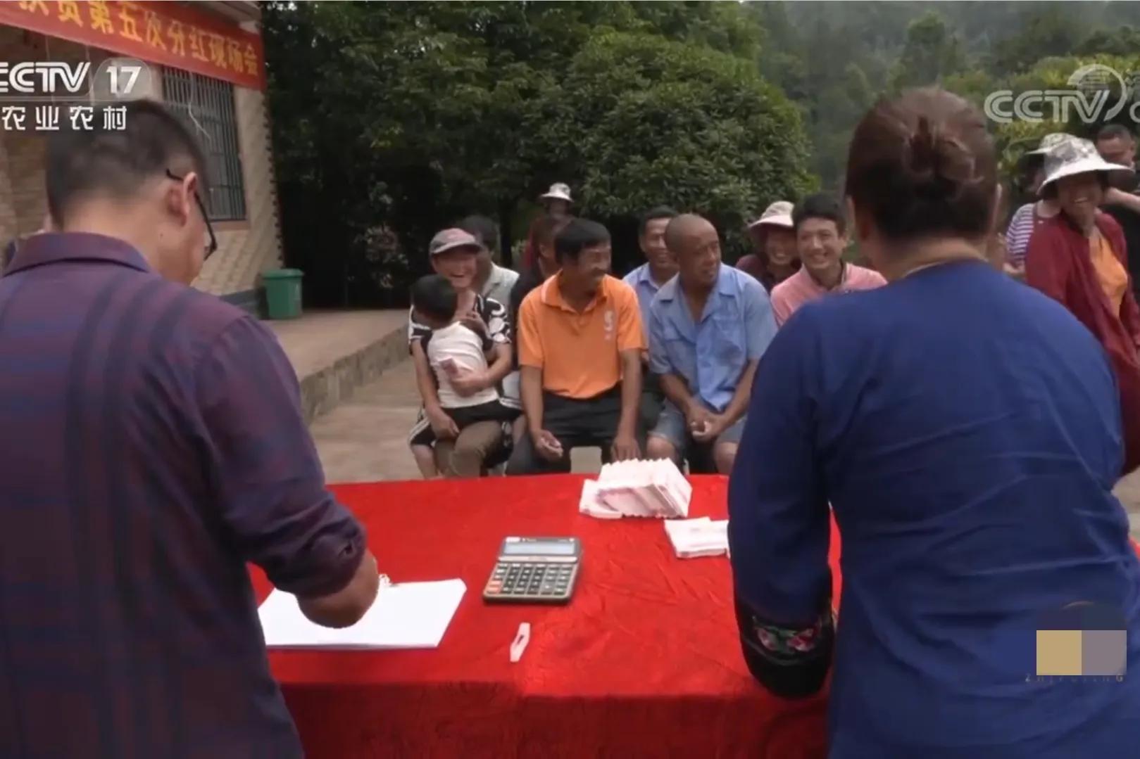 女人承包500亩荒山,女子承包50亩山地