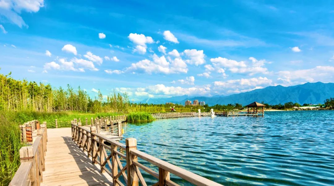 西安湿地风景区,西安东郊最美湿地公园