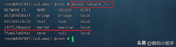 docker网络开启ipv6,docker同时绑定ipv6与ipv4