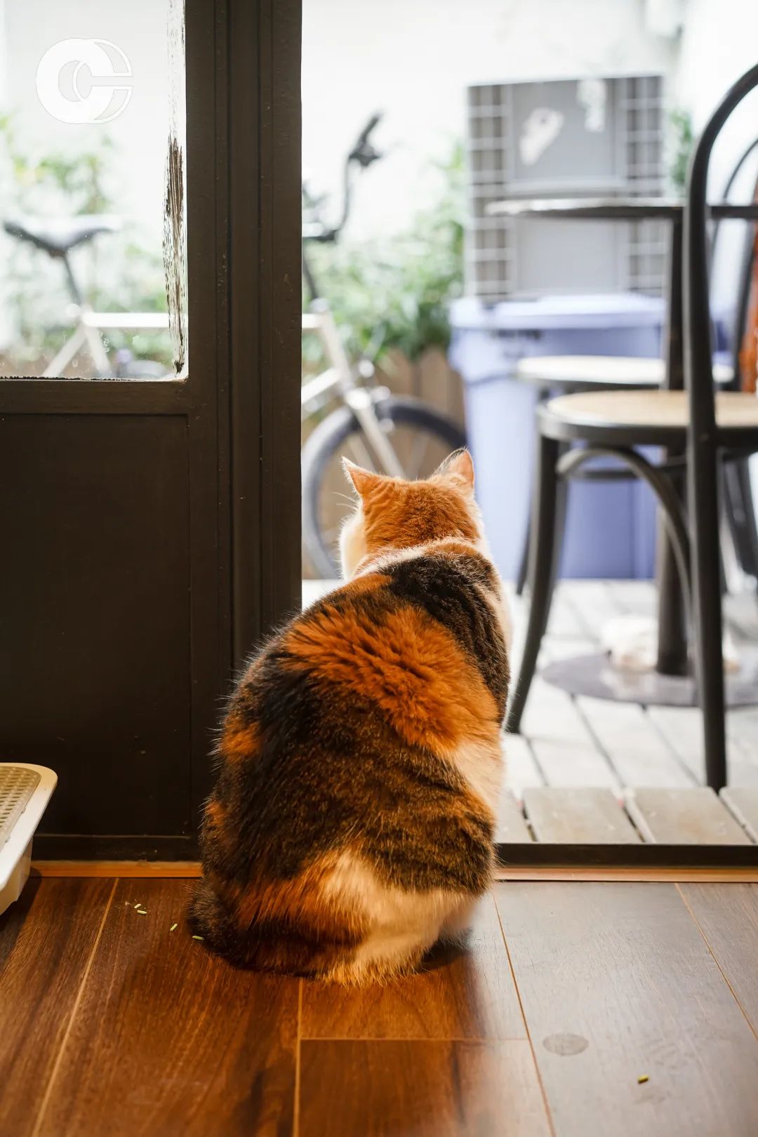 谁说秋天只有萧瑟,谁说秋天只有橘色和红色