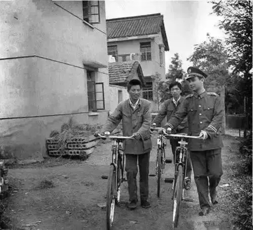 陕西挖出黄金视频,陕西农民挖出3公斤金子